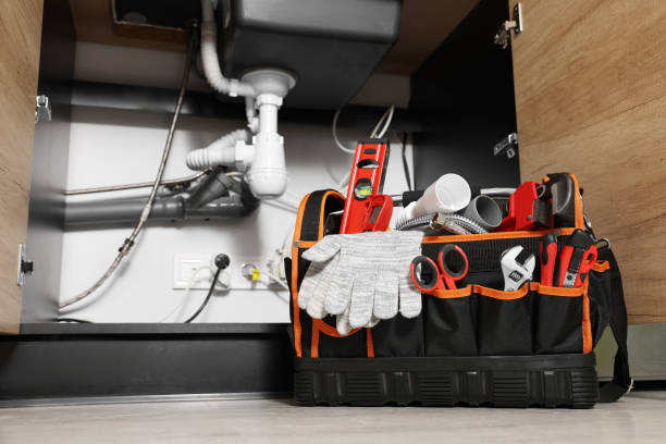 Best Local Plumber Services  in Cattaraugus, NY